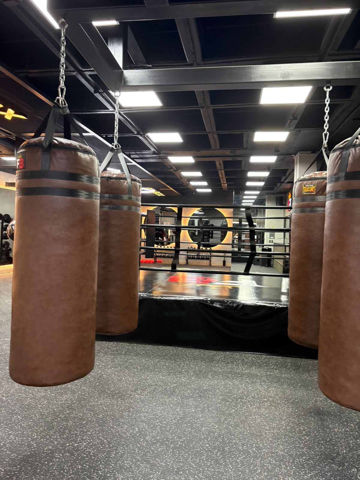 Area de box FINBOX